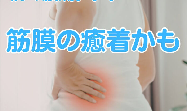 画像1793